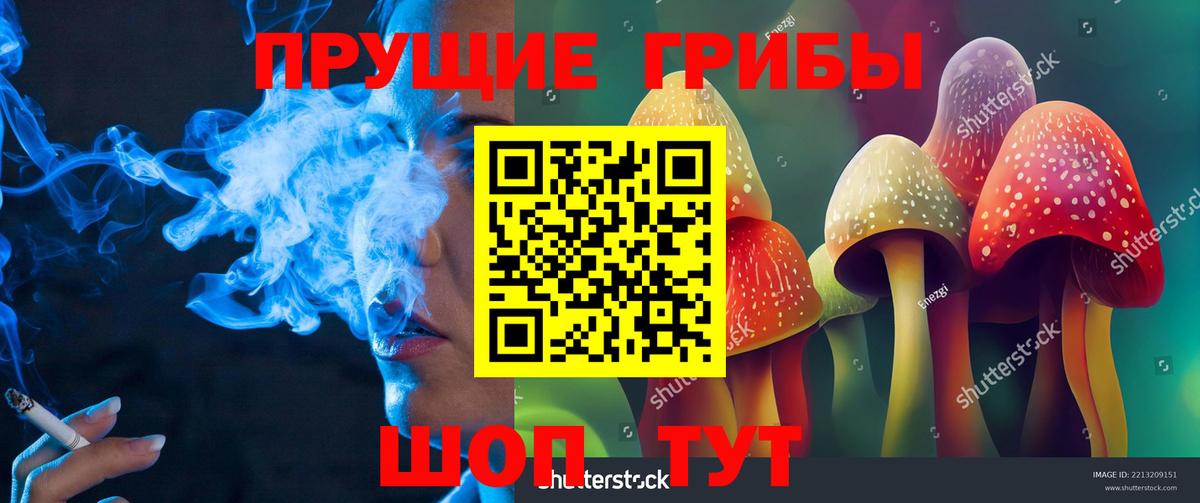 Галлюциногенные грибы Magic Shrooms Карасук